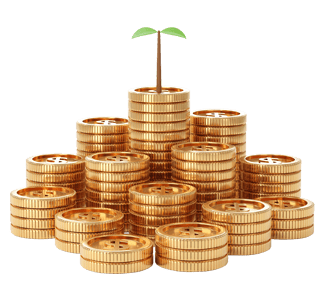 What Is Wealth Management?